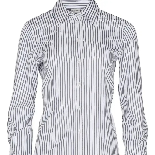 Picture of Winning Spirit, Ladies Sateen Stripe L/S Shirt